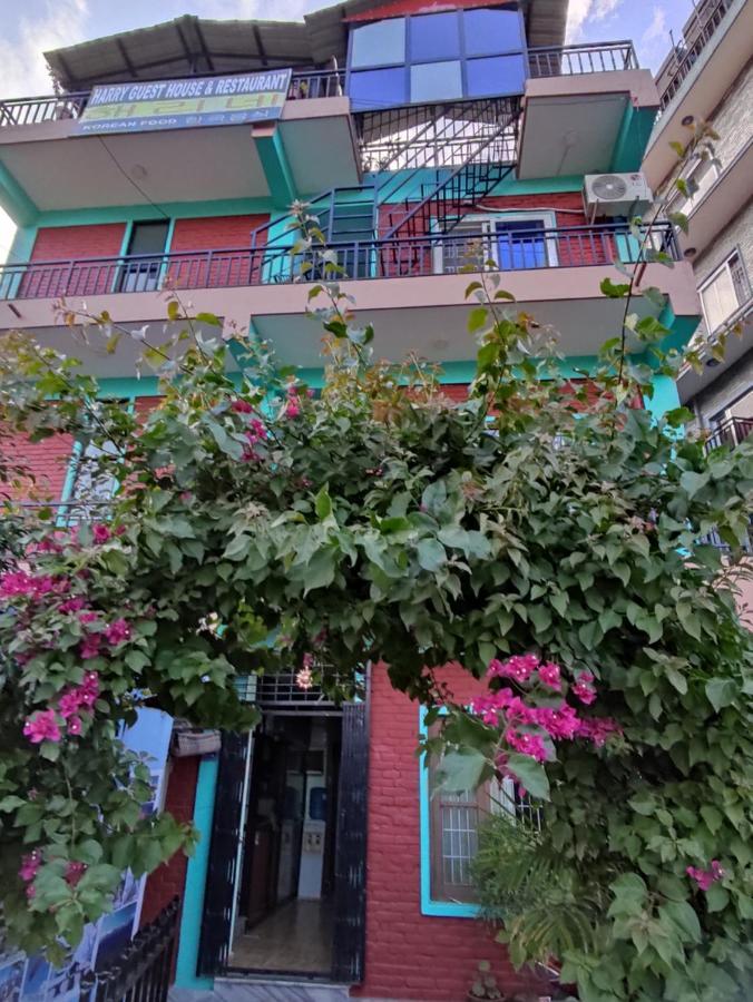 Harry Guest House&restaurant