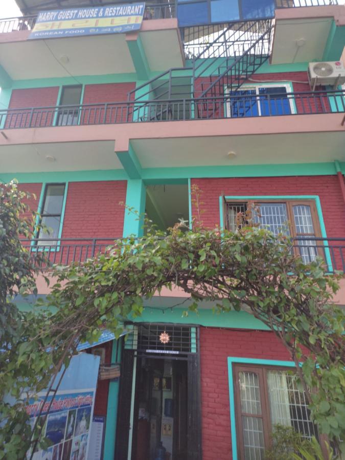 Harry Guest House&restaurant 2*