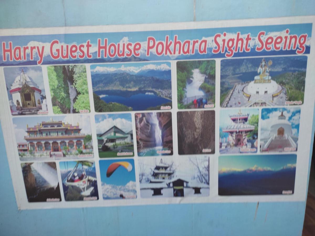 Harry & Restaurant Guest house Pokhara