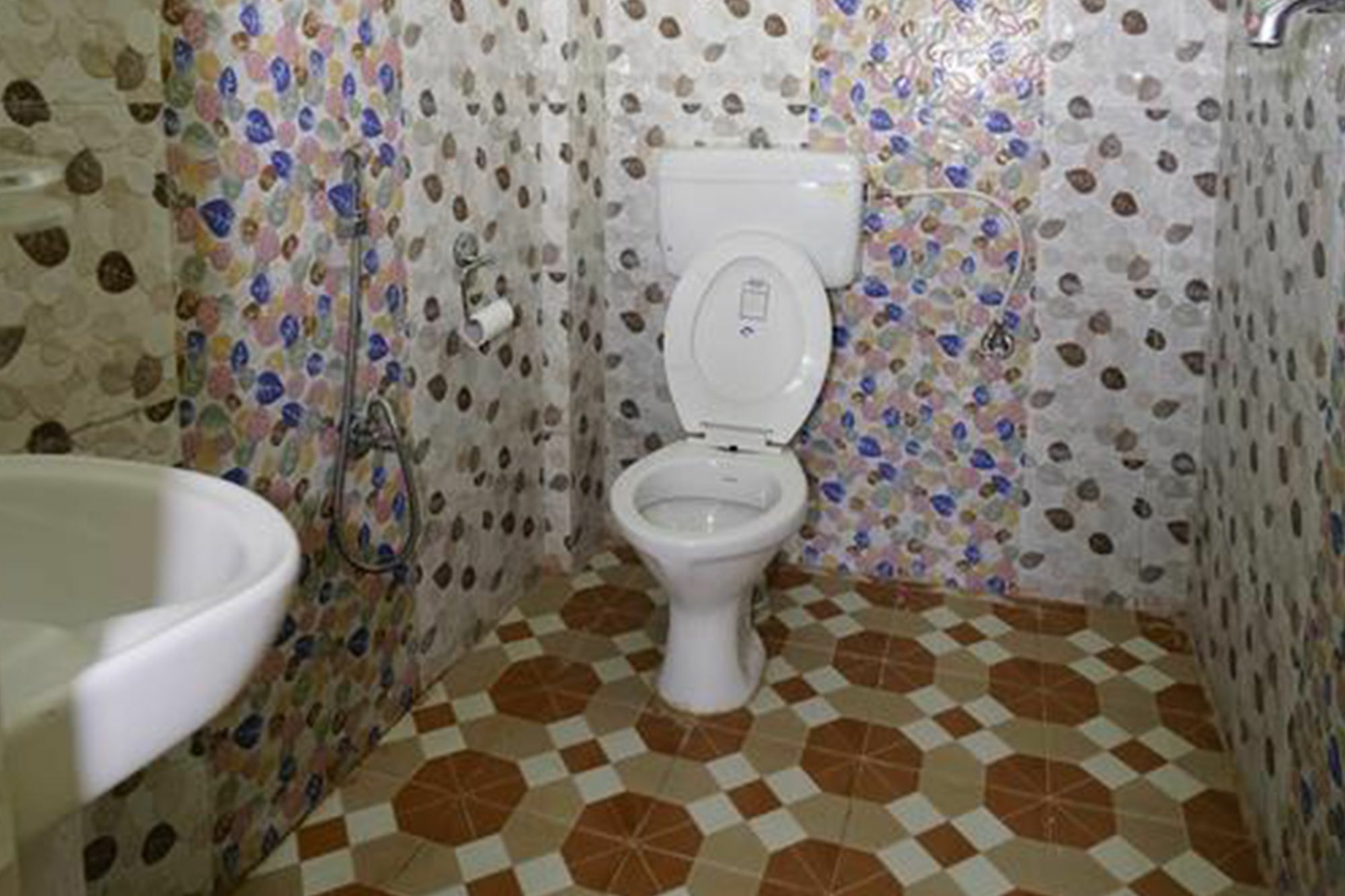 Guest house Harry & Restaurant Pokhara